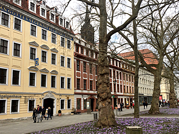 Stadtrundgang Dresden _ Hautstrasse